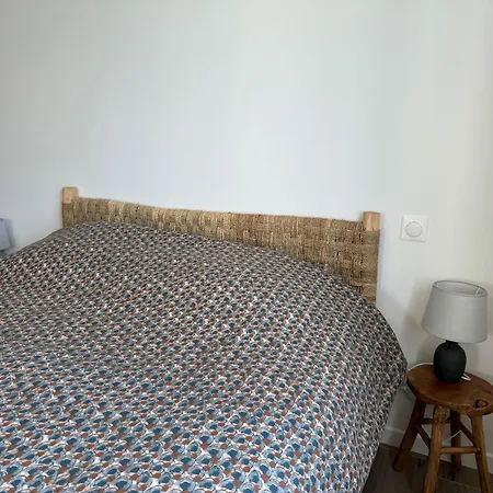 Hotel Maison Saint-palais-sur-mer, 5 Pieces, 8 Personnes - Fr-1-539-60 3*